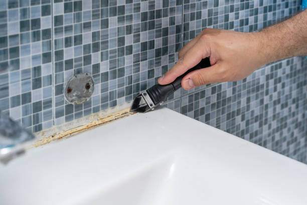 Best Residential Mold Remediation in Diboll, TX