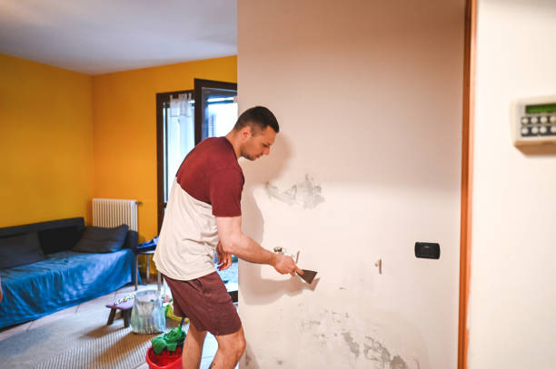 Best Mold Testing and Inspection Services in Diboll, TX